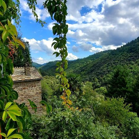 Gite De Combelebouze En Cevennes - Cosy, Confort Et Climatise - 3 Etoiles Saint-Privat-de-Vallongue Exterior foto