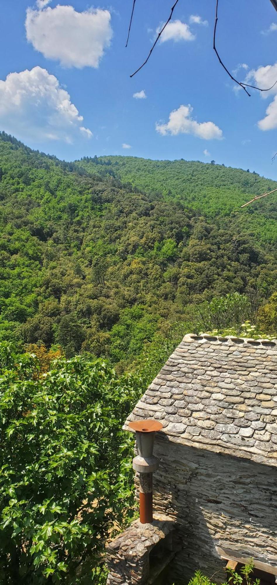 Gite De Combelebouze En Cevennes - Cosy, Confort Et Climatise - 3 Etoiles Saint-Privat-de-Vallongue Exterior foto