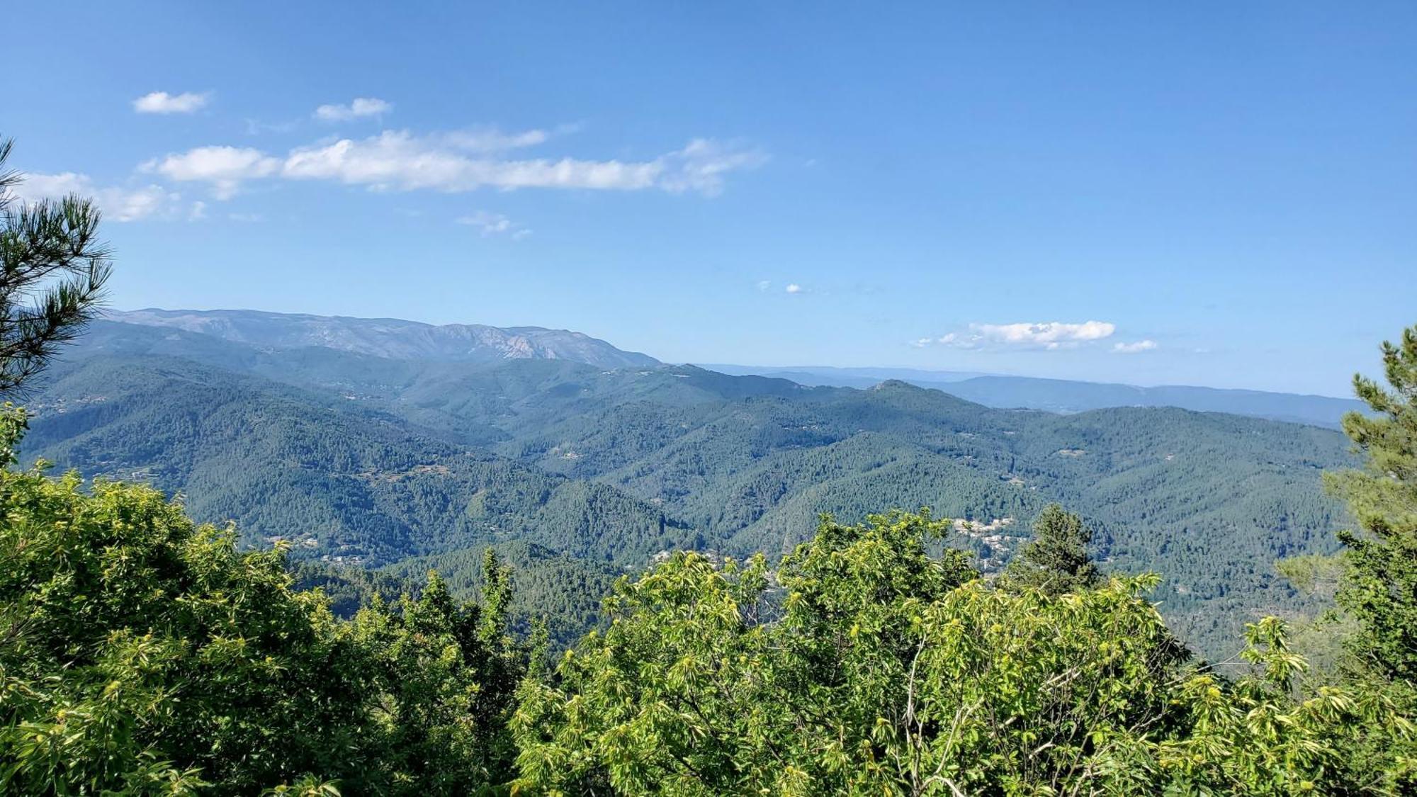 Gite De Combelebouze En Cevennes - Cosy, Confort Et Climatise - 3 Etoiles Saint-Privat-de-Vallongue Exterior foto